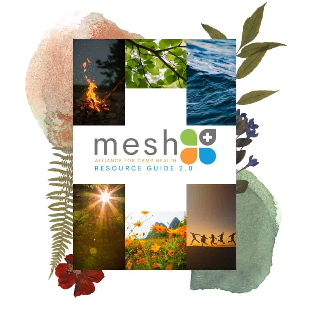 Image of the free Mesh+ resource guide